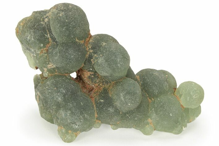 Botryoidal Prehnite - Mali #219515